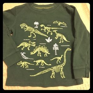 Dinosaur 🦕 long sleeve tee